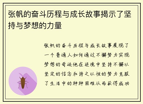 张帆的奋斗历程与成长故事揭示了坚持与梦想的力量